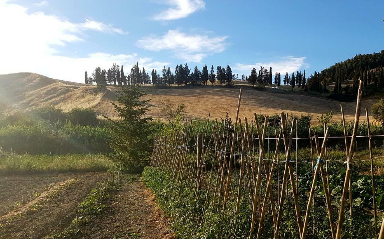 Agriturismo Podere Molino Peccioli Exterior photo