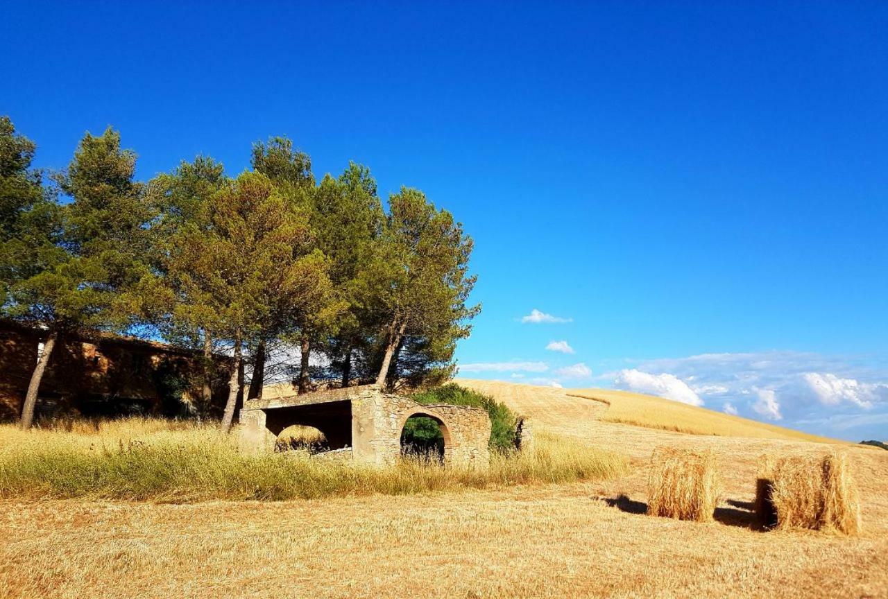 Agriturismo Podere Molino Peccioli Exterior photo